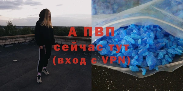 мяу мяу мука Беломорск
