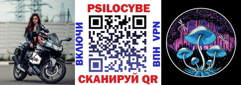 Галлюциногенные грибы Psilocybe  Отрадное 